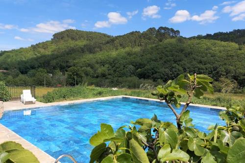 une piscine bleue avec une montagne en arrière-plan dans l'établissement Mas Anahata - Gîte Shanti, au coeur de la nature, à Générargues