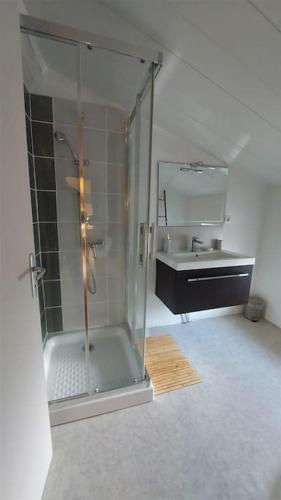 une salle de bain avec une douche en verre et un lavabo dans l'établissement Mas Anahata - Gîte Shanti, au coeur de la nature, à Générargues