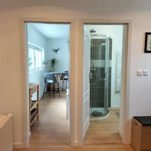 a bathroom with a glass shower and a table at Appartement Salamandre in Orléans