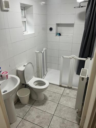 La salle de bains est pourvue de toilettes, d'un lavabo et d'une douche. dans l'établissement Sweet dream, à Londres
