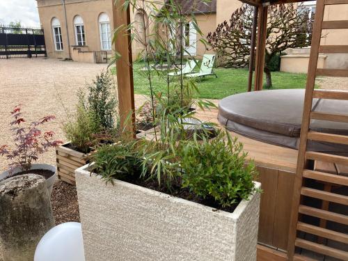 a garden with plants in a large concrete planter at B&B Vassy Etaule in Avallon