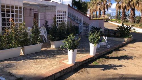 a row of potted plants in front of a building at Milicia Apartment in Mandra Capreria