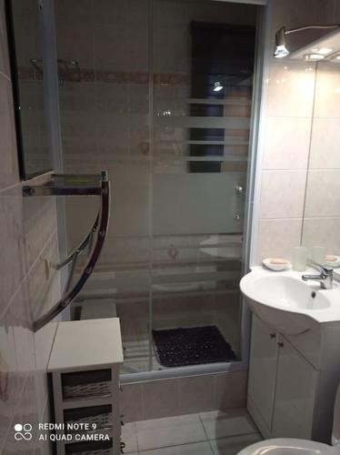 une salle de bain avec une douche, des toilettes et un lavabo dans l'établissement Rez de jardin Pinède Proximité Quartier Naturiste, au Cap d'Agde