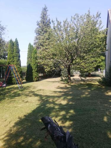 Holiday home in Keszthely - Balaton 49197 8360 Keszthely, Kodály Zoltán utca 2 kép - 3