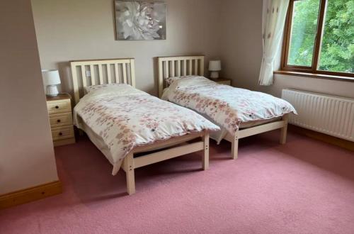 1 dormitorio con 2 camas y ventana en County Hideaway en Limerick