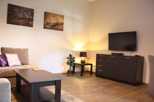 uma sala de estar com um sofá e uma televisão de ecrã plano em Apartament Integro em Szczecin