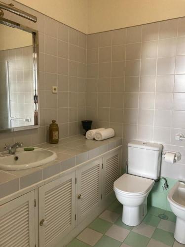 a bathroom with a toilet and a sink at Quinta das Palmeiras in Angra do Heroísmo