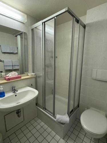ein Bad mit einer Dusche, einem Waschbecken und einem WC in der Unterkunft Wallfahrtswirt in Wemding