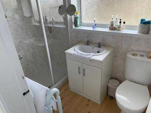 a bathroom with a shower and a toilet and a sink at LetAway - Tom's Cabin, Staithes in Staithes