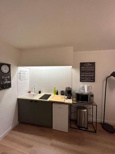 La cuisine est équipée d'un comptoir, d'un évier et d'un four micro-ondes. dans l'établissement Le spacieux, à Aurillac