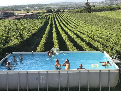 a group of people in a swimming pool in a vineyard at Casa Bilum in Sommacampagna