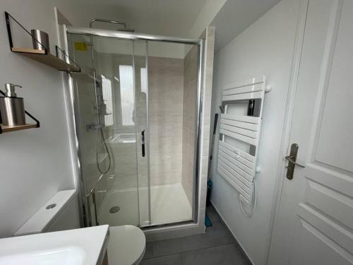 een badkamer met een douche, een toilet en een wastafel bij Studio & Coworking Thème Factory A in Morsang-sur-Orge