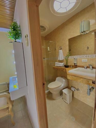 a bathroom with a toilet and a sink and a mirror at Valle Suites, la Mejor Ubicación in Valledupar