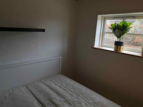 Un dormitorio con una cama y una ventana con una maceta. en Cozy Summer House In Svenborg en Svendborg