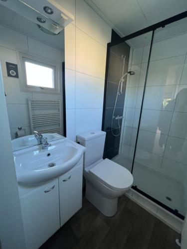 een badkamer met een toilet, een wastafel en een douche bij Chalet 102 in Voorthuizen