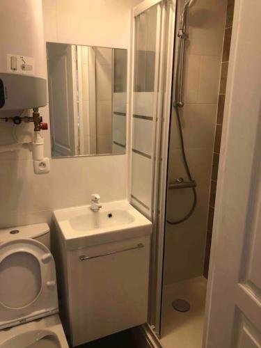 une salle de bain avec toilettes, lavabo et douche dans l'établissement Cosy studio, à Saint-Denis