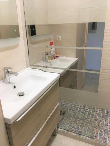 une salle de bain avec un lavabo et une douche dans l'établissement Agréable appartement 4 personnes à Villeneuve-Loubet Plage, piscine, mer, commerces à proximité, à Villeneuve-Loubet