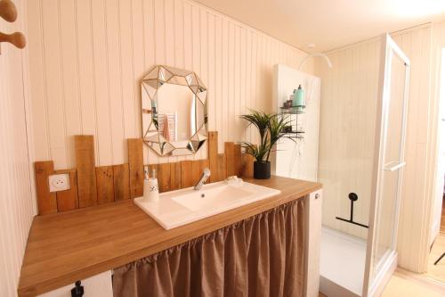 a bathroom with a sink and a mirror at Le Chat d'à Côté in Bord-Saint-Georges