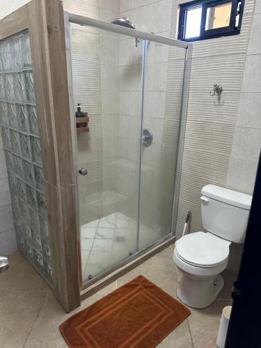 a bathroom with a glass shower with a toilet at Piece Of Heaven Cabins in Palmira