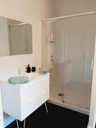 W łazience znajduje się biała umywalka i prysznic. w obiekcie Chambre privée Au pied des Vosges w mieście Remiremont