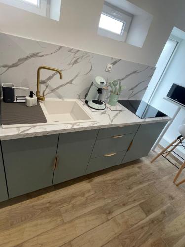 une cuisine avec un évier et un comptoir dans l'établissement Studio entre mer et centre-ville, à Dunkerque