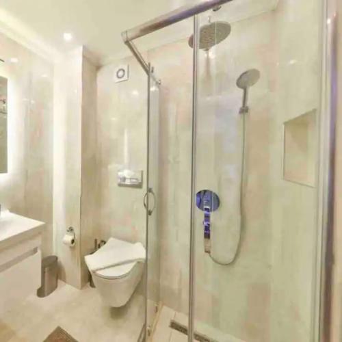 a bathroom with a shower and a toilet at Zahna Apartment in Kaş