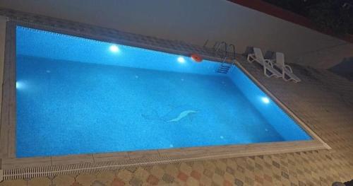 uma piscina com um golfinho na água em ВИЛЛА / VILLA em Gabala