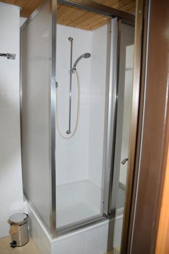 a shower with a glass door in a bathroom at Appartement Bergfrieden in Oberstaufen