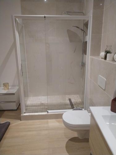 une salle de bain avec une douche avec des toilettes et un lavabo dans l'établissement Hotel particulier jazs, à Cambrai