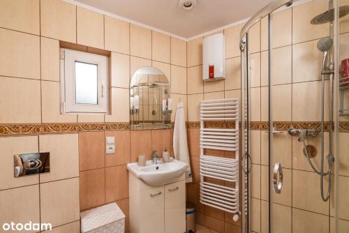 a bathroom with a sink and a shower at Apartament Rubinowy in Polanica-Zdrój