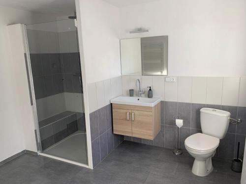 FryšavaにあるApartmán 101のトイレ、洗面台、シャワー付きのバスルーム