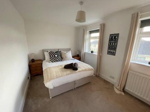 a bedroom with a bed and two windows at Bright and sunny village home in Ipplepen