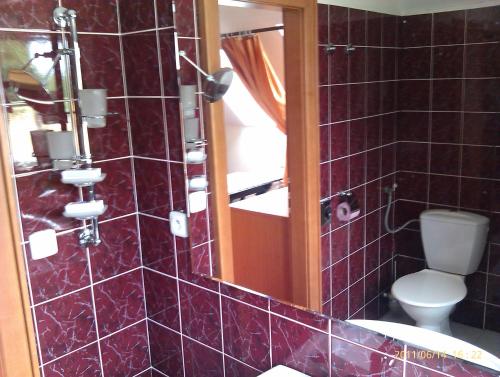 W łazience znajduje się toaleta, umywalka i lustro. w obiekcie Penzion U Kata w mieście Bruntál