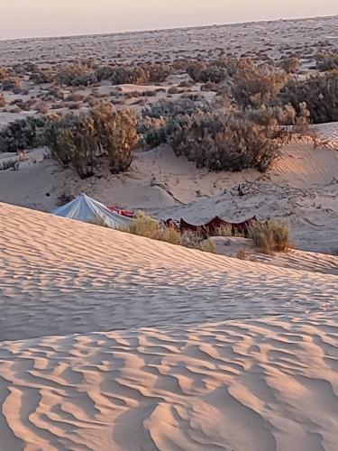 a desert with a tent in the middle of it at Private Camp25km-from DOUZ in Douz