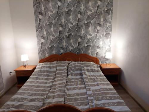 een slaapkamer met een bed met twee lampen aan beide zijden bij Apartman Silver in Zádiel