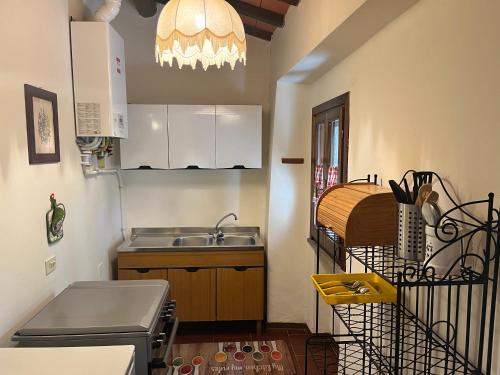 a small kitchen with a sink and a sink at Agriturismo La Pineta in Piana