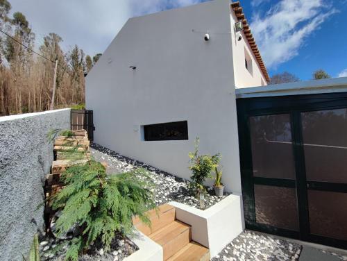 Casa Vicente