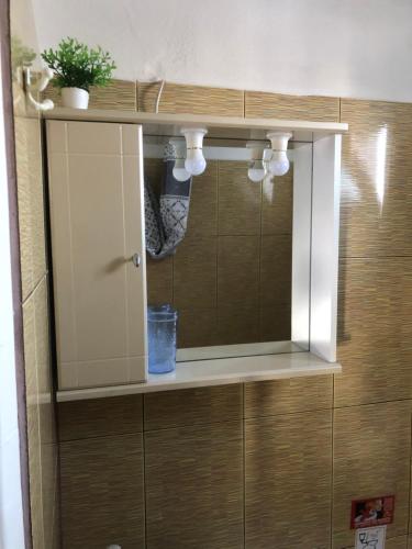 a medicine cabinet with a mirror and a plant at Nikos Rooms in Nea Peramos