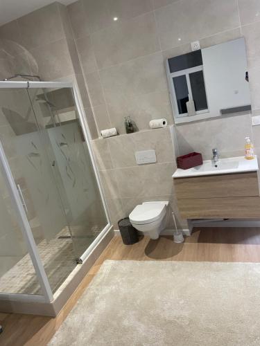 une salle de bain avec une douche, des toilettes et un lavabo dans l'établissement Chambre d’hôtes jazs, à Cambrai