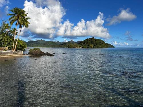 vistas a una playa con palmeras y al océano en Fare OKAI, en Fitii