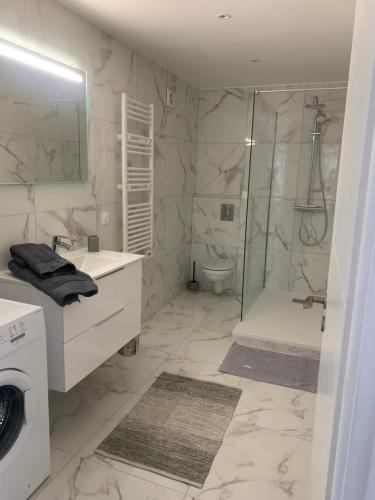 une salle de bain avec une douche, des toilettes et un lavabo dans l'établissement Résidence a CASA, à Palasca