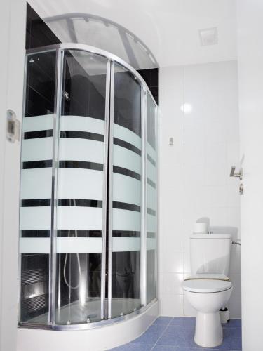 eine Glasdusche im Bad mit WC in der Unterkunft Estudio en Villanubla in Villanubla