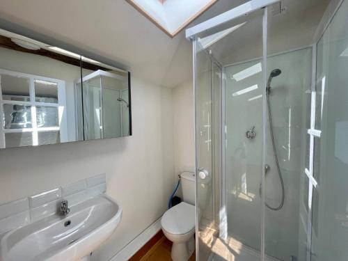 ein Bad mit einer Dusche, einem Waschbecken und einem WC in der Unterkunft La Maison Saint Pierre, Aulnay in Aulnay