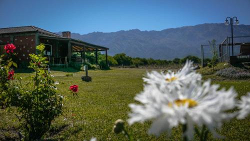 a field with flowers in front of a building at cabañas Villa de las rosas in Villa de Las Rosas