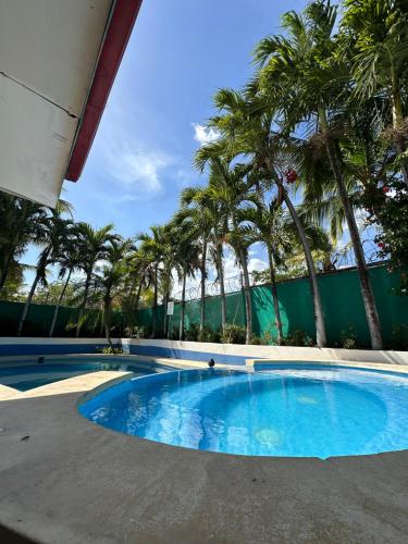 ein Pool mit Palmen im Hintergrund in der Unterkunft Wide Mouth Frog Conchal in Brasilito