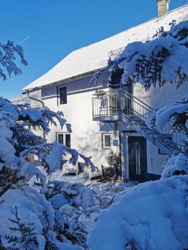 Haus Seewald