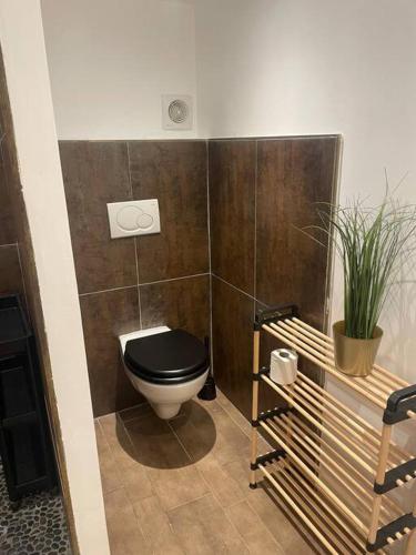 La salle de bains est pourvue de toilettes noires et d'une plante. dans l'établissement Maison de village au pied du Luberon., à Peypin-dʼAigues