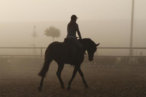 a person riding a horse in the fog at Penzion Jízdárna Suchá in Litomyšl