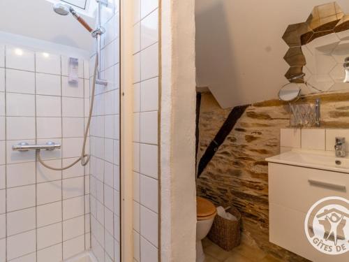 a bathroom with a shower and a toilet at Charmante maison en Anjou Bleu, 2 pers, terrasse, poêle à bois, équipements bébé, cuisine équipée - FR-1-622-72 in Noëllet