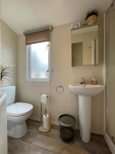 a bathroom with a white toilet and a sink at Seton Sands Caravan Near Edinburgh & North Berwick in Port Seton